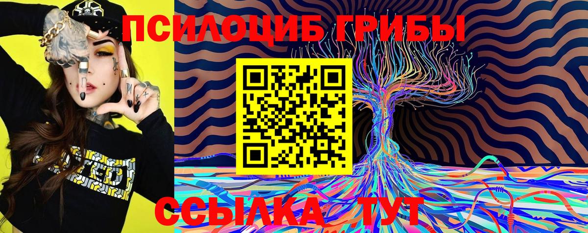 где продают наркотики  Вход с VPN  Копейск  Псилоцибиновые грибы мухоморы 